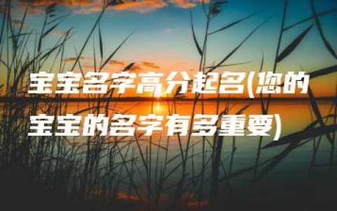 宝宝名字高分起名(您的宝宝的名字有多重要)