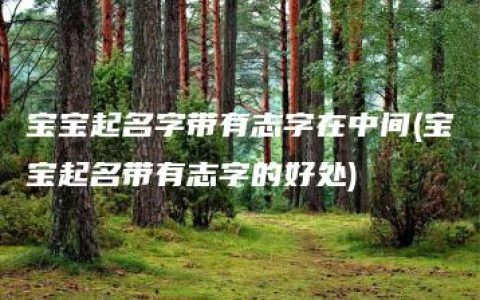 宝宝起名字带有志字在中间(宝宝起名带有志字的好处)