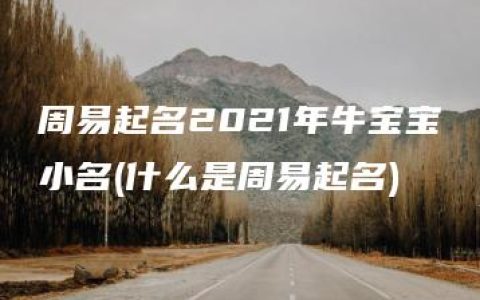 周易起名2021年牛宝宝小名(什么是周易起名)