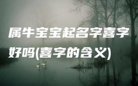 属牛宝宝起名字喜字好吗(喜字的含义)