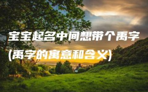 宝宝起名中间想带个禹字(禹字的寓意和含义)