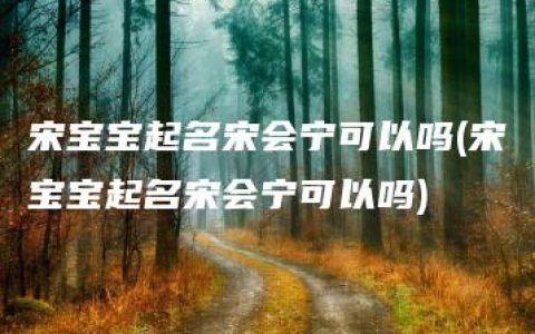 宋宝宝起名宋会宁可以吗(宋宝宝起名宋会宁可以吗)