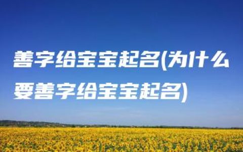 善字给宝宝起名(为什么要善字给宝宝起名)