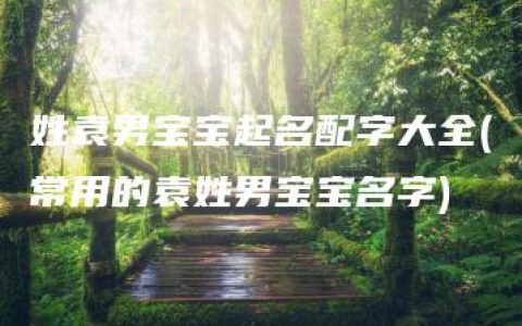 姓袁男宝宝起名配字大全(常用的袁姓男宝宝名字)