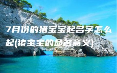 7月份的猪宝宝起名字怎么起(猪宝宝的命名意义)