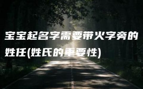 宝宝起名字需要带火字旁的姓任(姓氏的重要性)