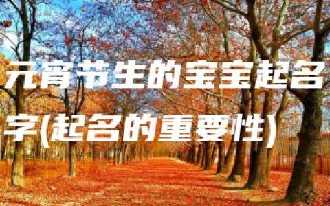 元宵节生的宝宝起名字(起名的重要性)