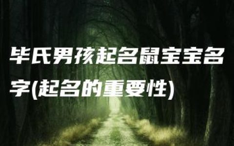 毕氏男孩起名鼠宝宝名字(起名的重要性)