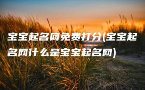 宝宝起名网免费打分(宝宝起名网什么是宝宝起名网)