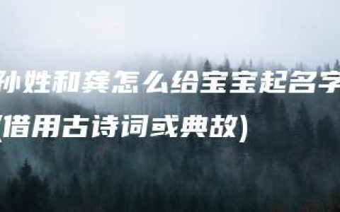 孙姓和龚怎么给宝宝起名字(借用古诗词或典故)