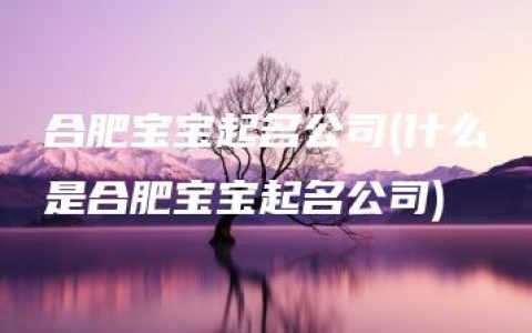 合肥宝宝起名公司(什么是合肥宝宝起名公司)