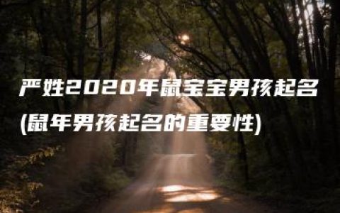 严姓2020年鼠宝宝男孩起名(鼠年男孩起名的重要性)