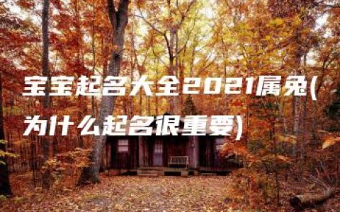 宝宝起名大全2021属兔(为什么起名很重要)