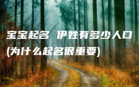 宝宝起名 伊姓有多少人口(为什么起名很重要)