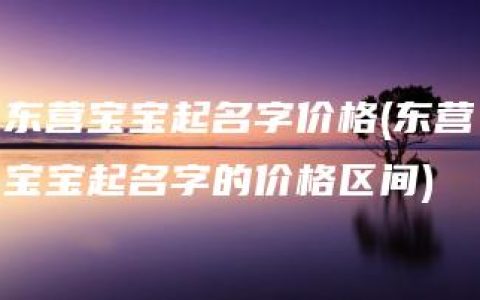 东营宝宝起名字价格(东营宝宝起名字的价格区间)