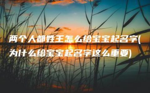 两个人都姓王怎么给宝宝起名字(为什么给宝宝起名字这么重要)