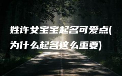 姓许女宝宝起名可爱点(为什么起名这么重要)