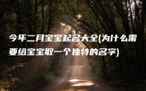 今年二月宝宝起名大全(为什么需要给宝宝取一个独特的名字)