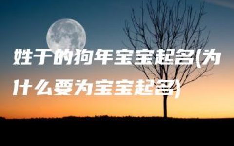 姓于的狗年宝宝起名(为什么要为宝宝起名)