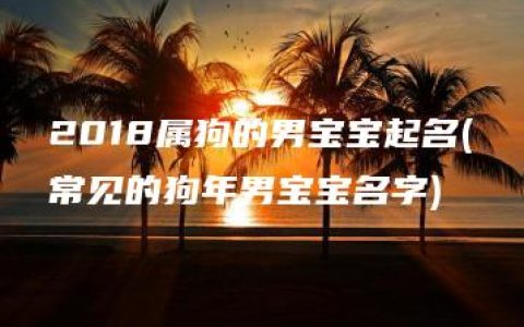 2018属狗的男宝宝起名(常见的狗年男宝宝名字)