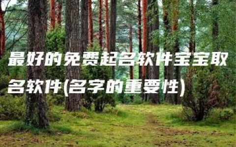 最好的免费起名软件宝宝取名软件(名字的重要性)