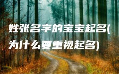 姓张名字的宝宝起名(为什么要重视起名)