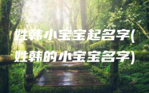 姓韩小宝宝起名字(姓韩的小宝宝名字)