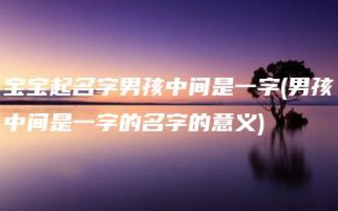 宝宝起名字男孩中间是一字(男孩中间是一字的名字的意义)