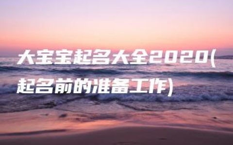 大宝宝起名大全2020(起名前的准备工作)