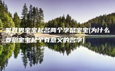 吴姓男宝宝起名两个字鼠宝宝(为什么要给宝宝起个有意义的名字)