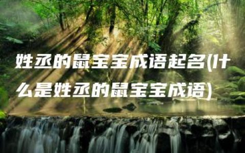 姓丞的鼠宝宝成语起名(什么是姓丞的鼠宝宝成语)