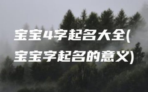 宝宝4字起名大全(宝宝字起名的意义)