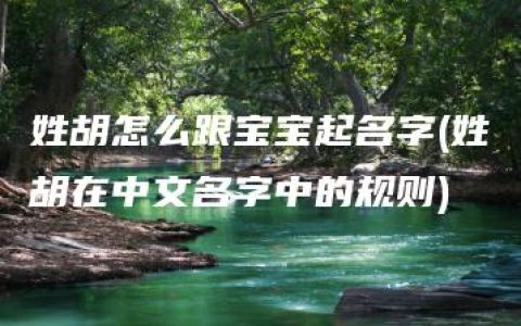 姓胡怎么跟宝宝起名字(姓胡在中文名字中的规则)