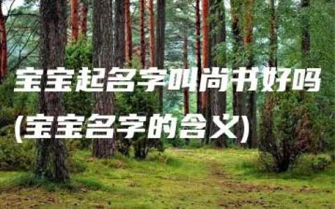 宝宝起名字叫尚书好吗(宝宝名字的含义)