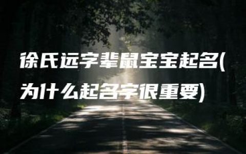 徐氏远字辈鼠宝宝起名(为什么起名字很重要)