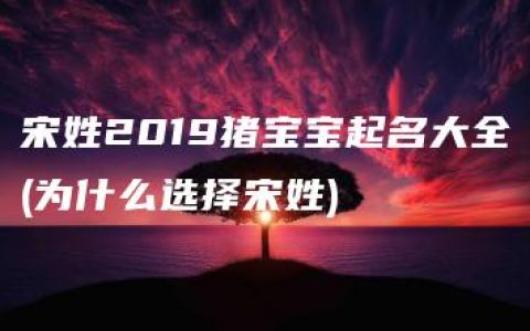 宋姓2019猪宝宝起名大全(为什么选择宋姓)