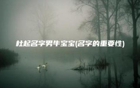 杜起名字男牛宝宝(名字的重要性)