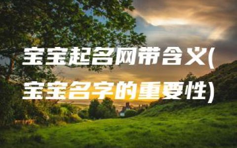 宝宝起名网带含义(宝宝名字的重要性)