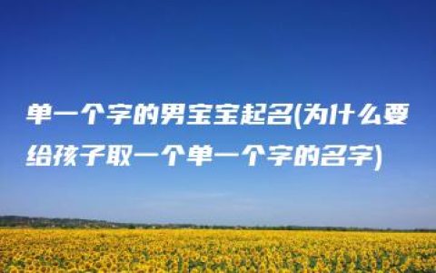 单一个字的男宝宝起名(为什么要给孩子取一个单一个字的名字)