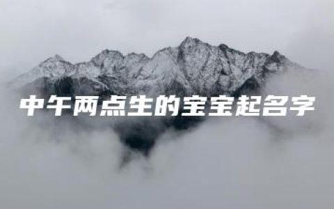 中午两点生的宝宝起名字