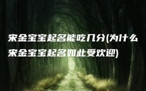 宋金宝宝起名能吃几分(为什么宋金宝宝起名如此受欢迎)