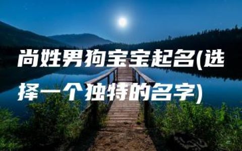 尚姓男狗宝宝起名(选择一个独特的名字)