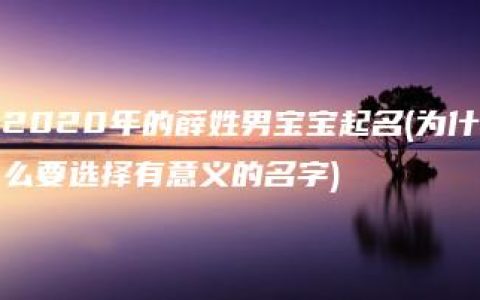 2020年的薛姓男宝宝起名(为什么要选择有意义的名字)