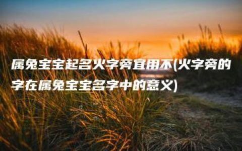 属兔宝宝起名火字旁宜用不(火字旁的字在属兔宝宝名字中的意义)