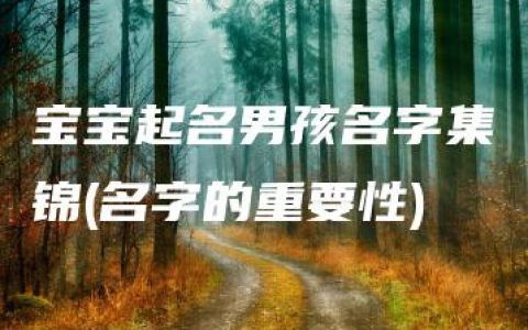 宝宝起名男孩名字集锦(名字的重要性)