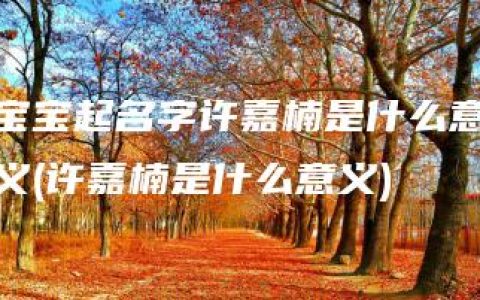 宝宝起名字许嘉楠是什么意义(许嘉楠是什么意义)