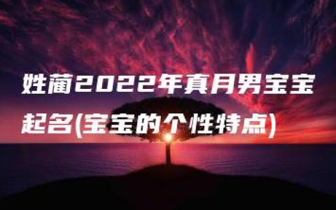 姓蔺2022年真月男宝宝起名(宝宝的个性特点)