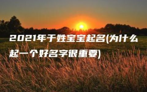 2021年于姓宝宝起名(为什么起一个好名字很重要)