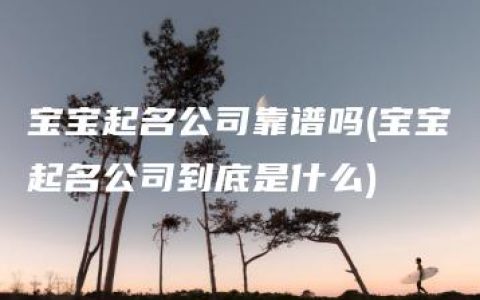 宝宝起名公司靠谱吗(宝宝起名公司到底是什么)