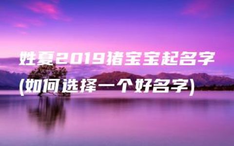 姓夏2019猪宝宝起名字(如何选择一个好名字)